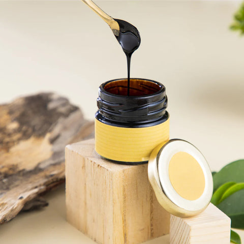 Shilajit - Health & Energy Elixir