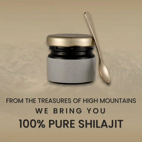 Shilajit - Health & Energy Elixir